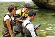 A sustainable future for Chinese giant salamanders: Chinese giant salamander field survey manual. Technical report, Zoological Society of London. Available at: http://www.amphibians.org/