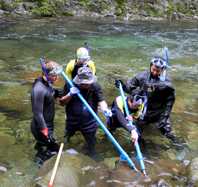 Failure to detect the Chinese giant salamander (*Andrias* *davidianus*) in Fanjingshan National Nature Reserve, Guizhou Province, China. Salamandra, 51: 206–208.